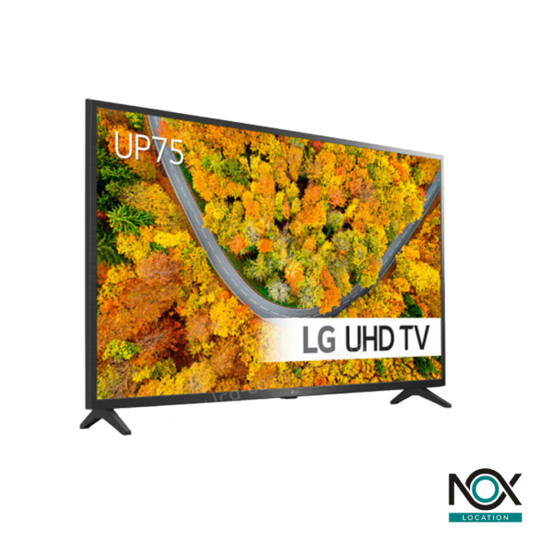 LG Ecran 65"